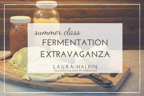 Fermentation Class (1)