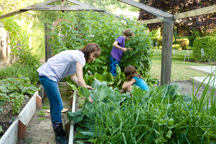 gardening