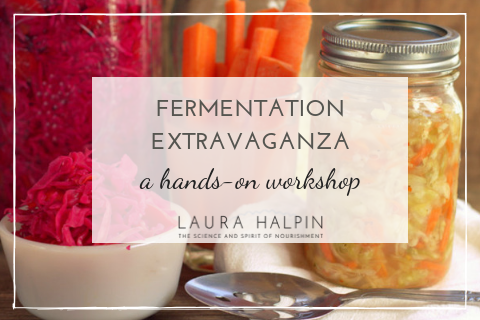 Fermentation Class (2)